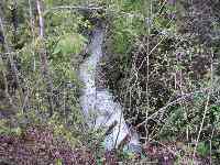 Les gorges de la Languettes