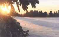 Promenade dans les bois, pendant le couch de soleil...