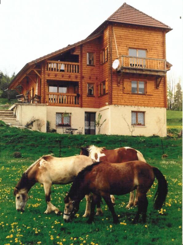 chevaux devant les chambre d'htes