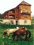Mme les chevaux vont aux chalets