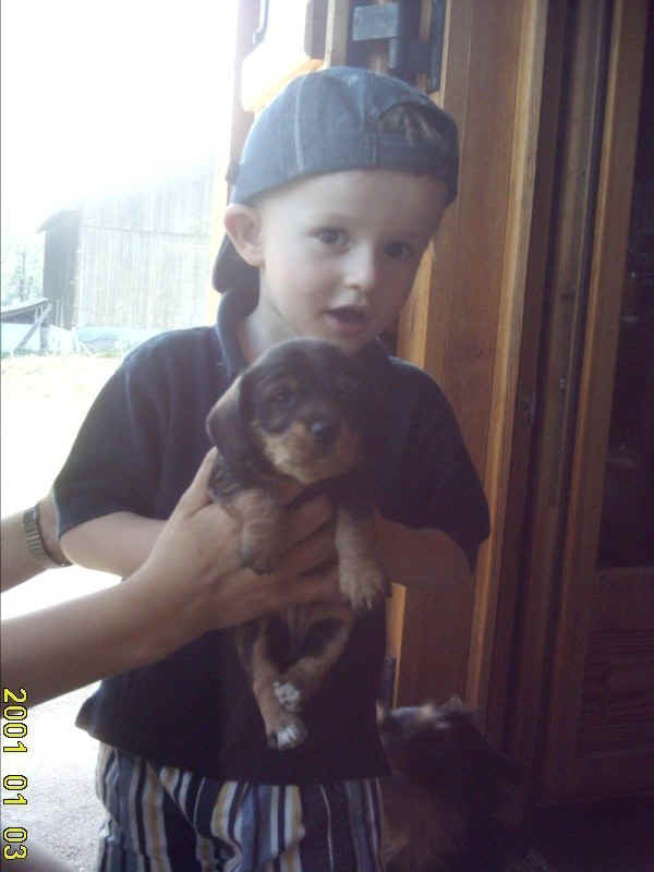 Comme ils sont mignons les petits chiens !!