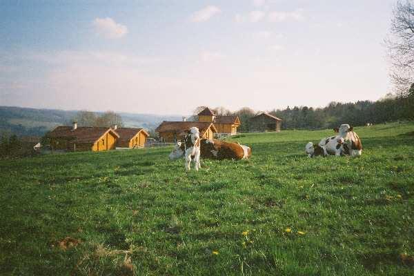 Le domaine