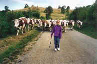 Comme Alize, vous pourrez emmener les vaches...